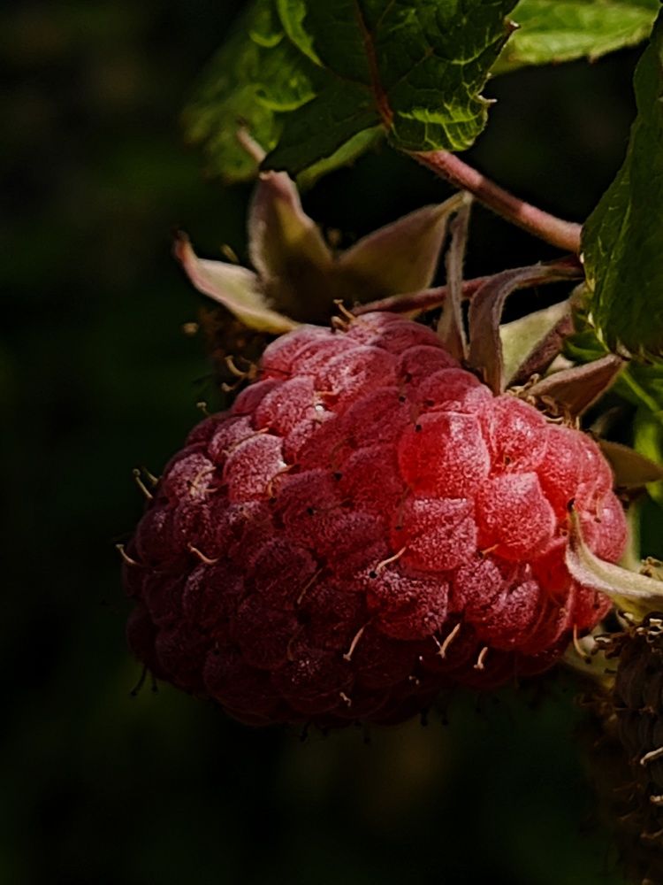 Photograph by Евгения Акишева