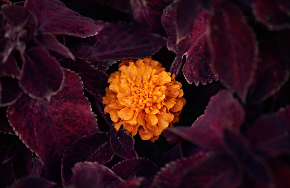 Фотография автора Татьяна Бабкина