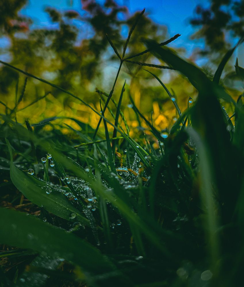 Photograph by Abu Darda