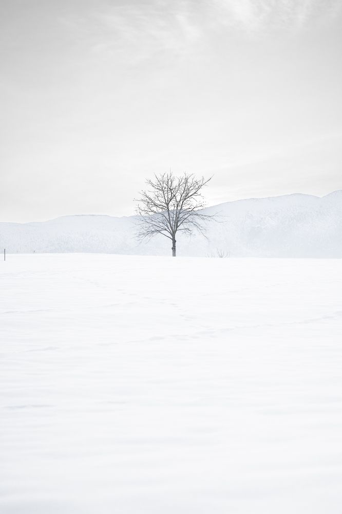 Фотография автора Belmin Becirspahic