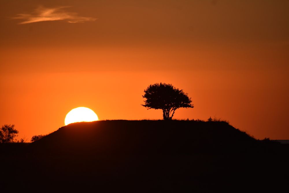 Фотография автора АНАСТАСИЯ ЛЕВИНА
