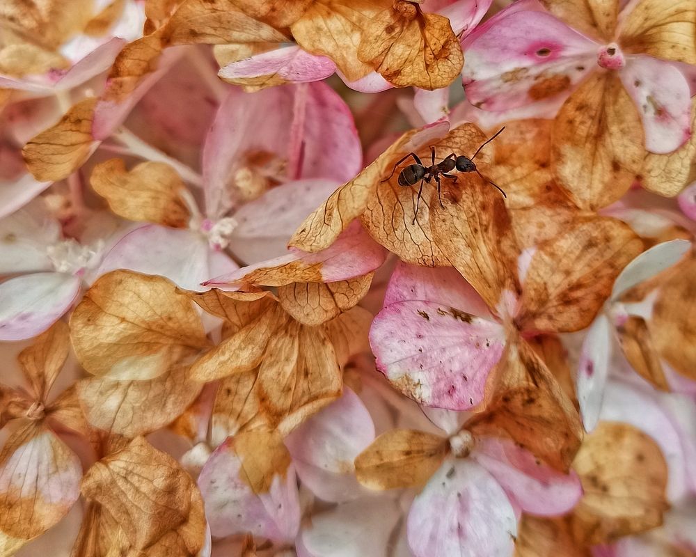 Photograph by Светлана Барабанова