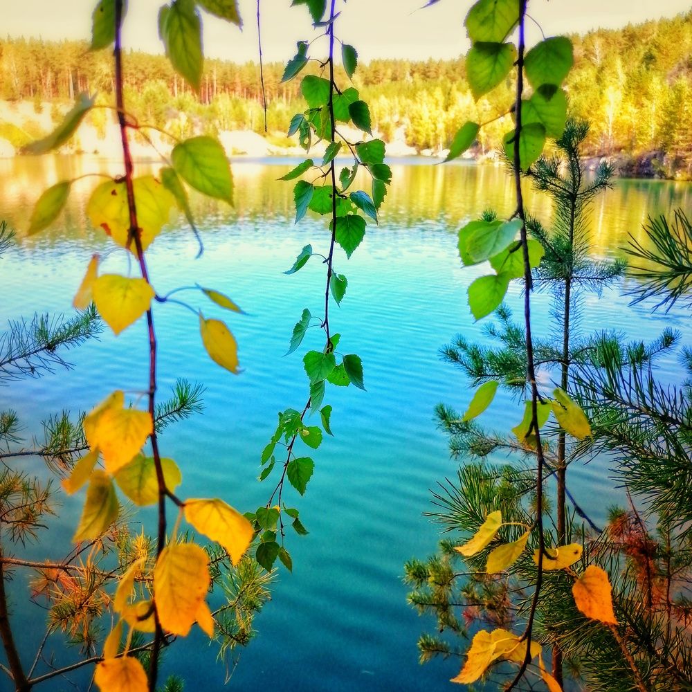 Photograph by Оксана Кабакова