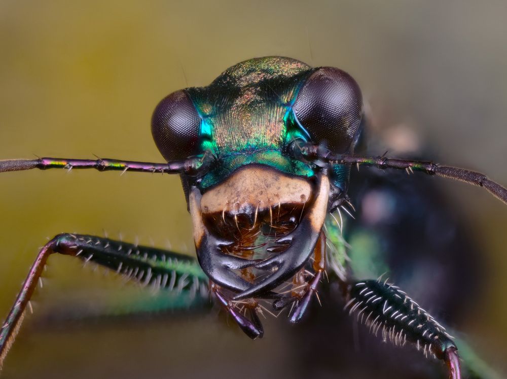 Photograph by Юрий Юрьевич