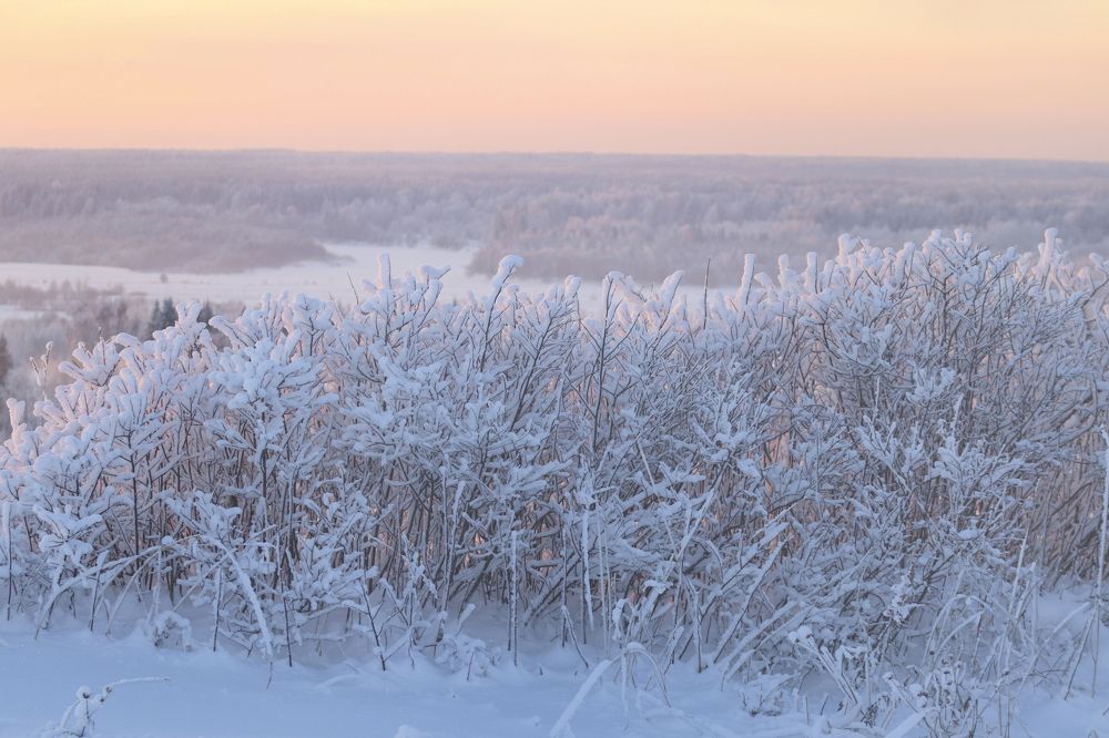 Photograph by Екатерина Коканина