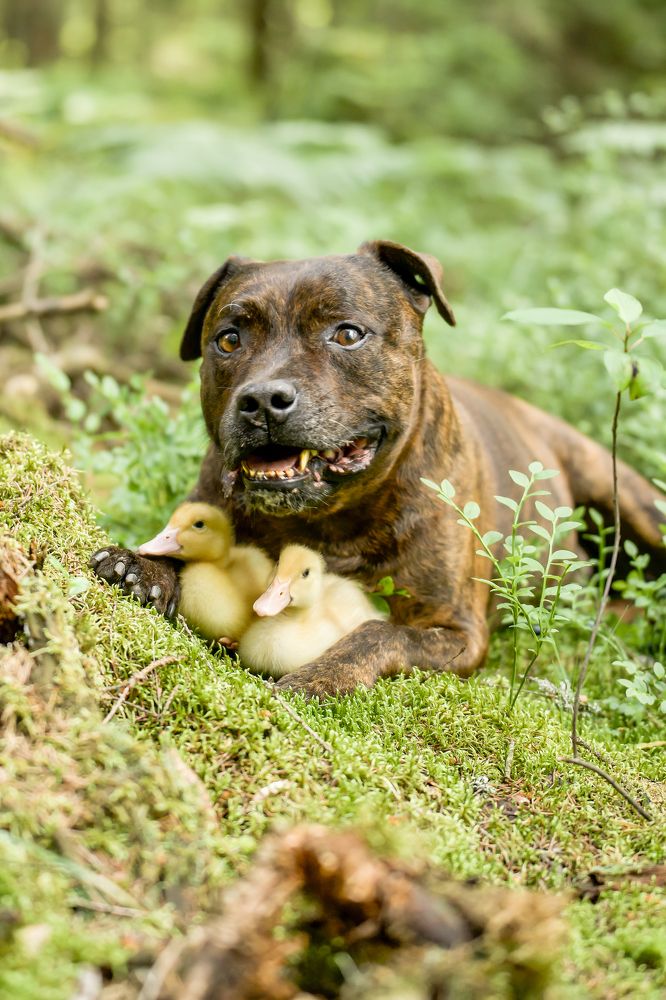 Photograph by Марина Суздаль