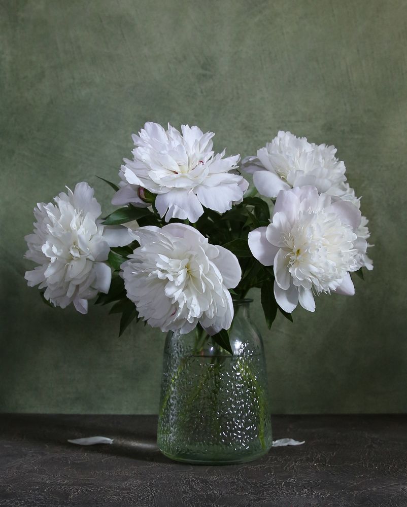 Photograph by Елена Бородина