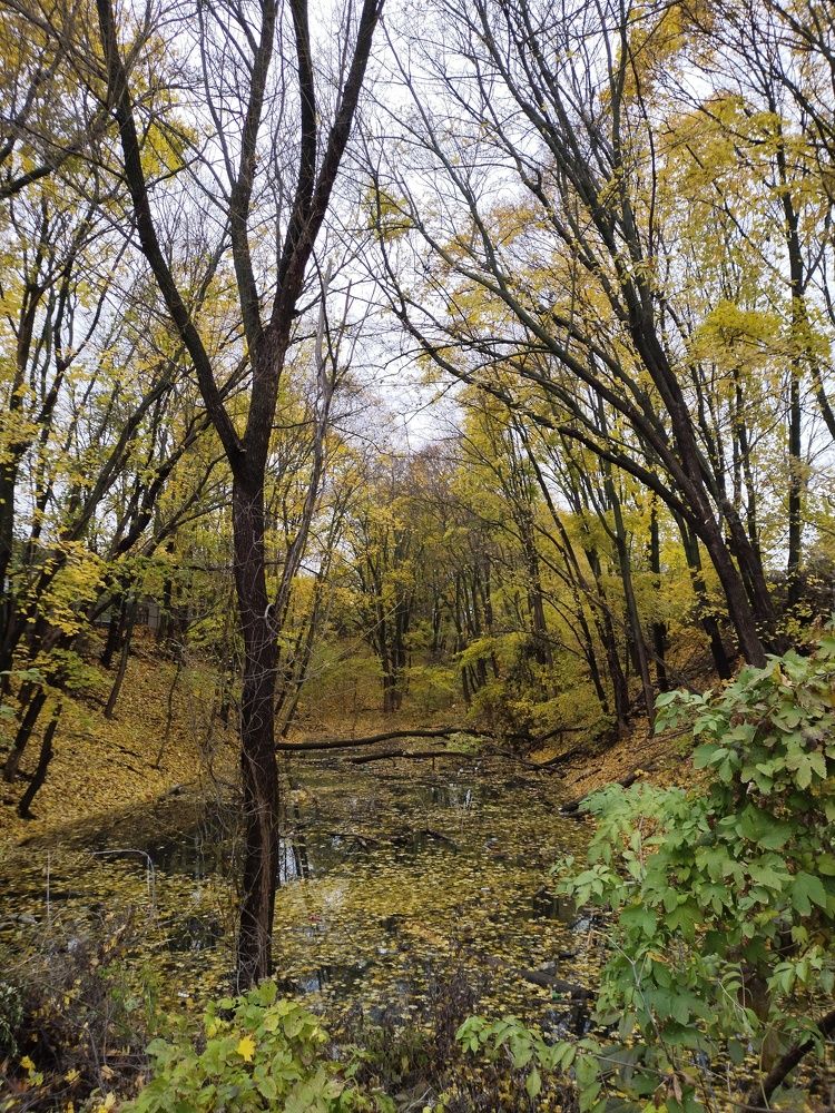 Photograph by Наташа Верхоламова