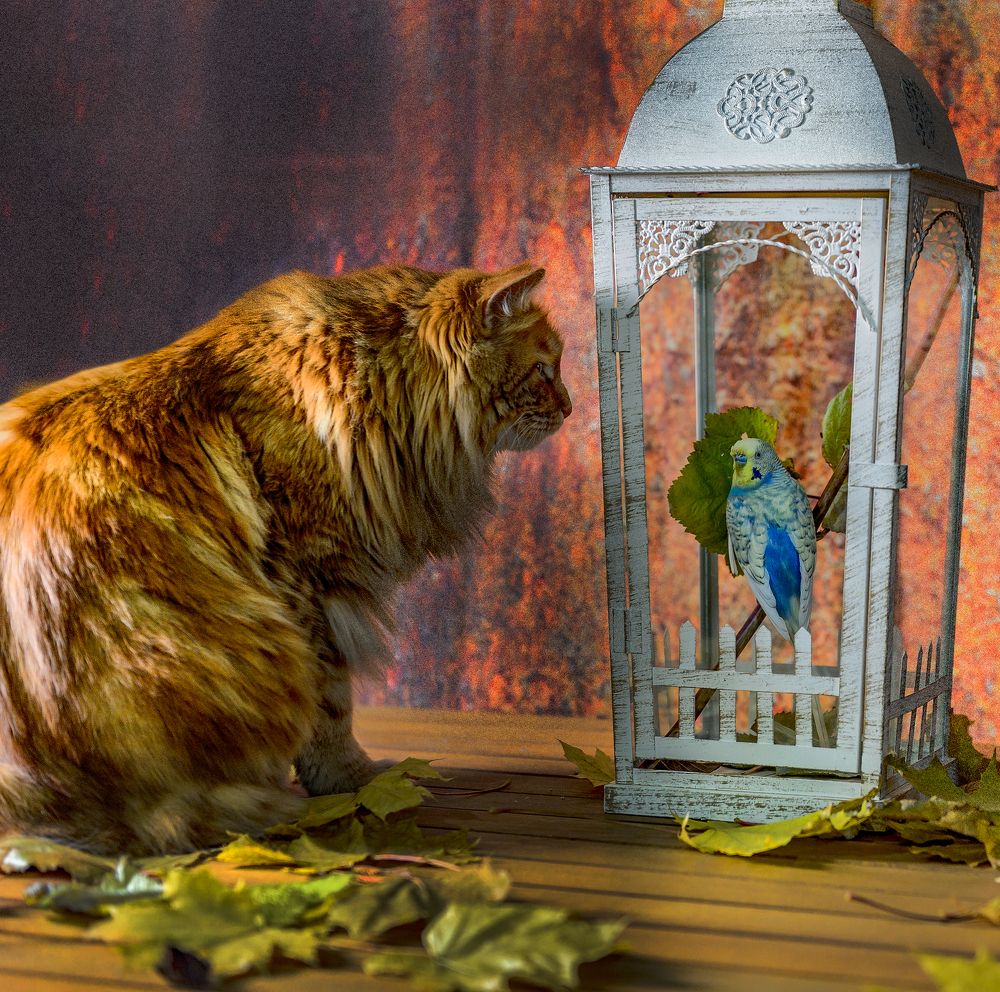 Photograph by Елена Куртеева