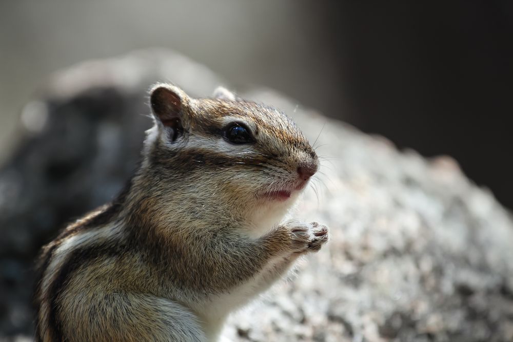 Photograph by Денис Бутин