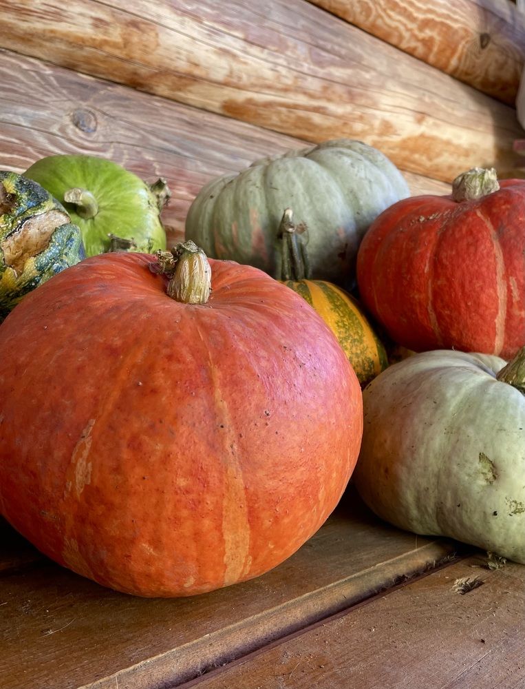 Photograph by Дарья Гаврилова