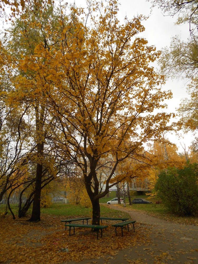 Photograph by Любовь Панфилова