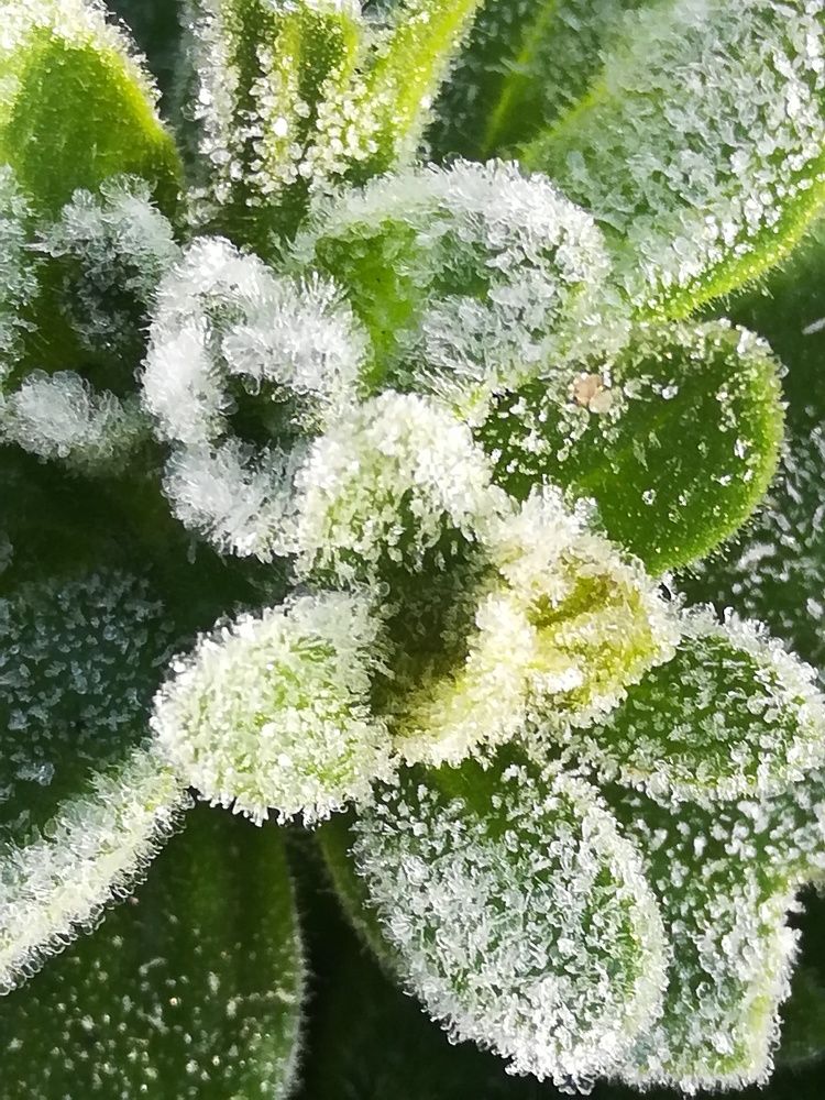 Photograph by Evgeniya Burkaeva