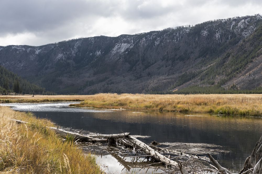 Photograph by Kiril Kralev