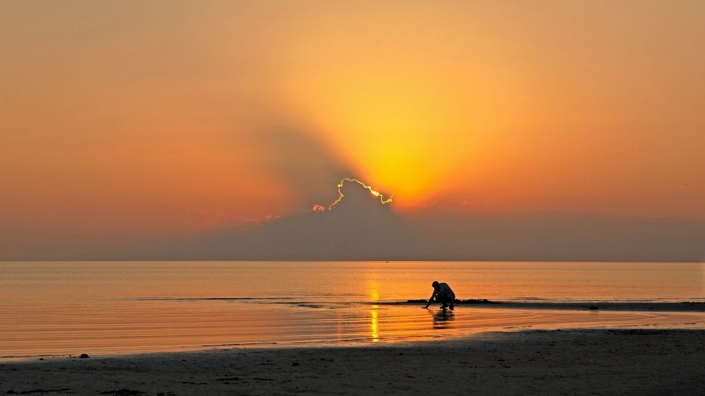 Все мы - дети Земли.
