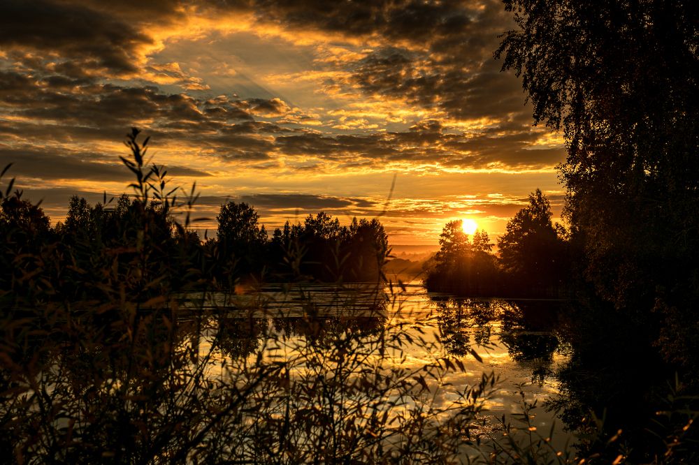 Солнце ложится в колыбель