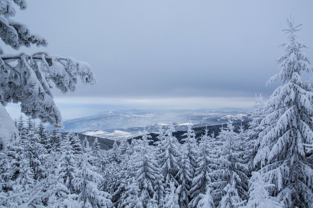 Photograph by Kiril Kralev