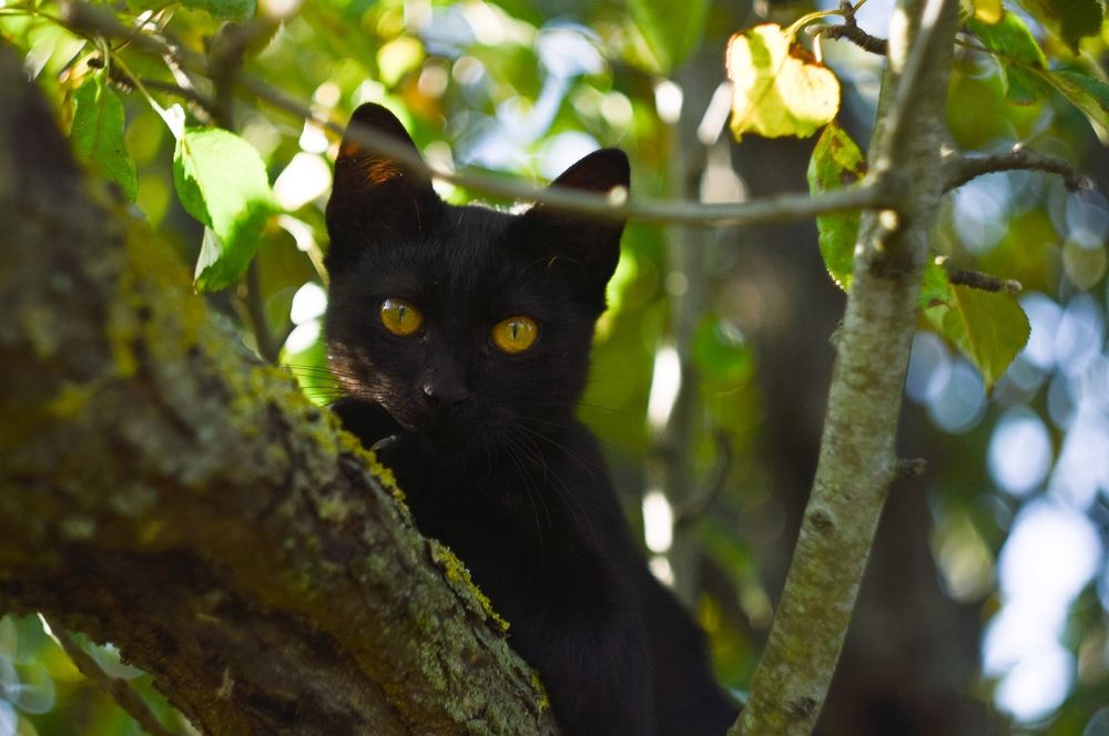 Photograph by Анастасия