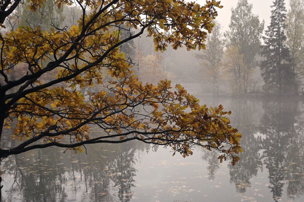 Photograph by Екатерина