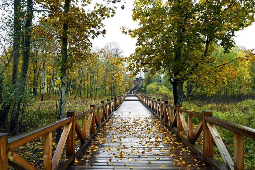 Photograph by Екатерина