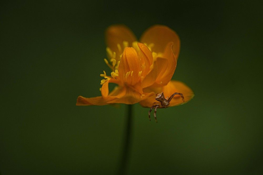 Photograph by Светлана Андреева