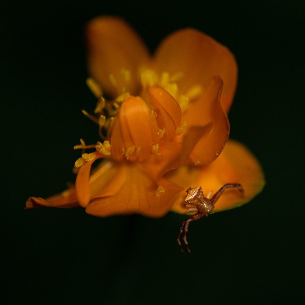 Photograph by Светлана Андреева