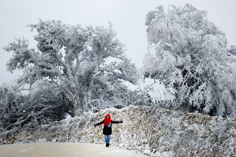 Photograph by Nguyen Trung