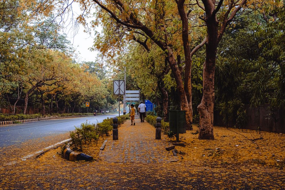 Фотография автора Anuj Medhavi