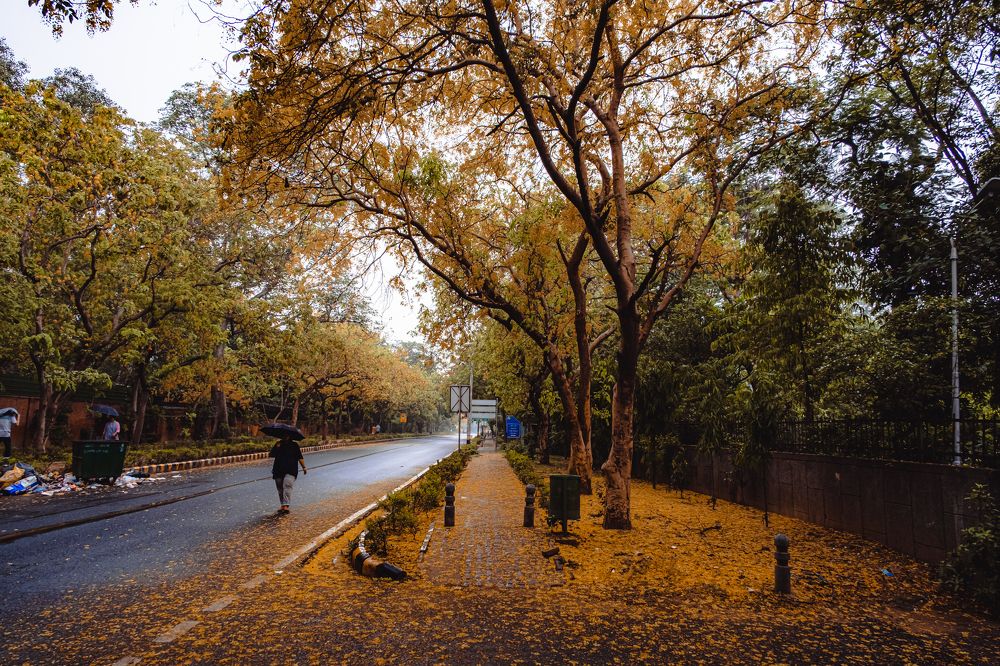 Фотография автора Anuj Medhavi