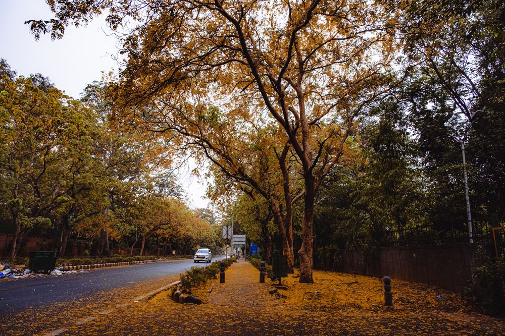 Фотография автора Anuj Medhavi