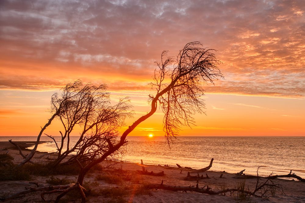 Photograph by Albina Kulikova