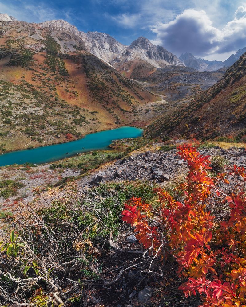 Photograph by Александр Корчагин