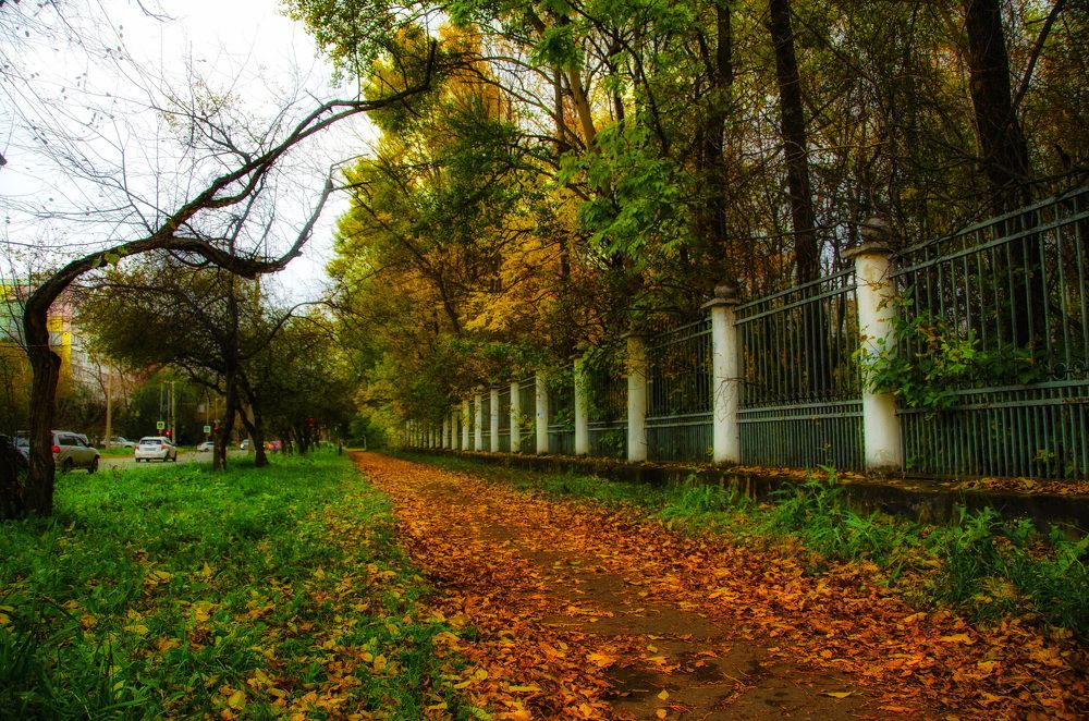 Photograph by Даниил Марков