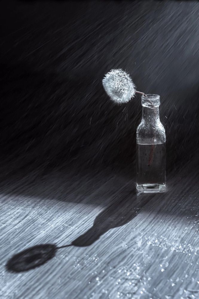 Photograph by Юлия Яремко