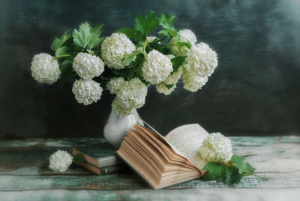 Photograph by Юлия Яремко