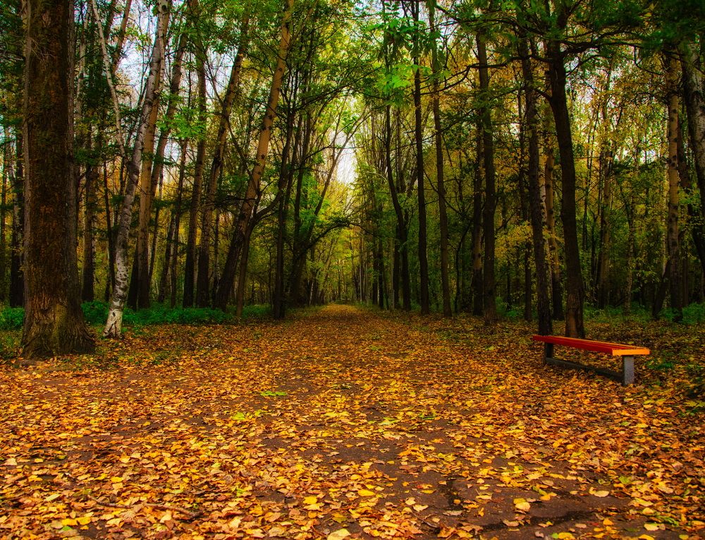 Photograph by Даниил Марков