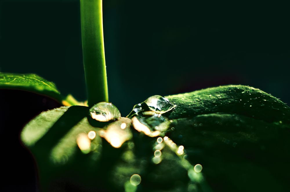 Photograph by Андрей Барышников