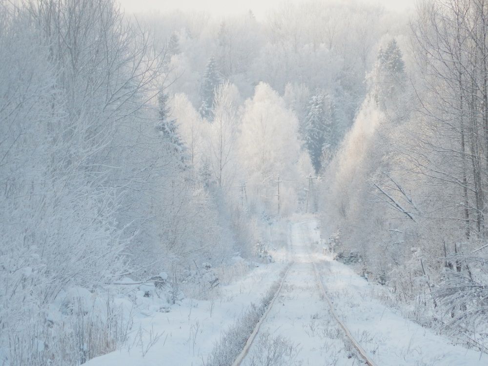 Морозный день