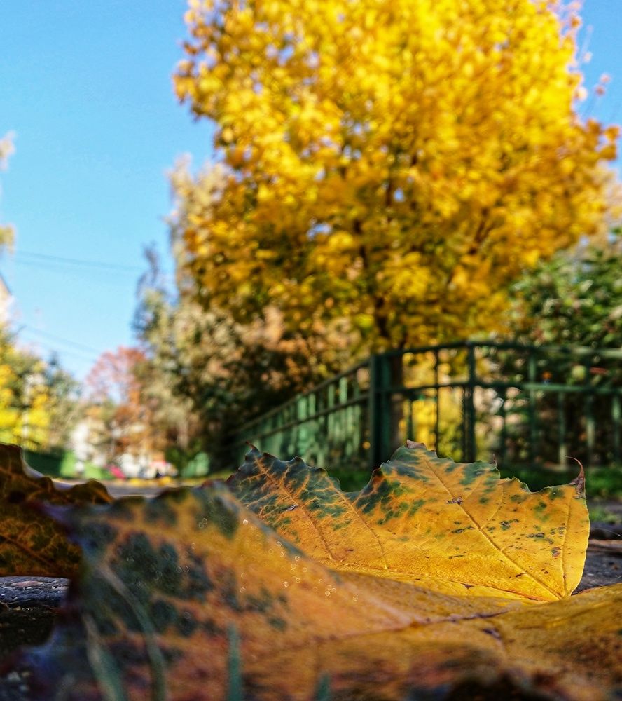 Photograph by Юрий Сычев