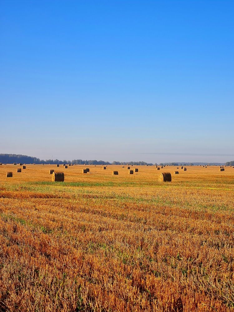 Photograph by Любовь Ершова