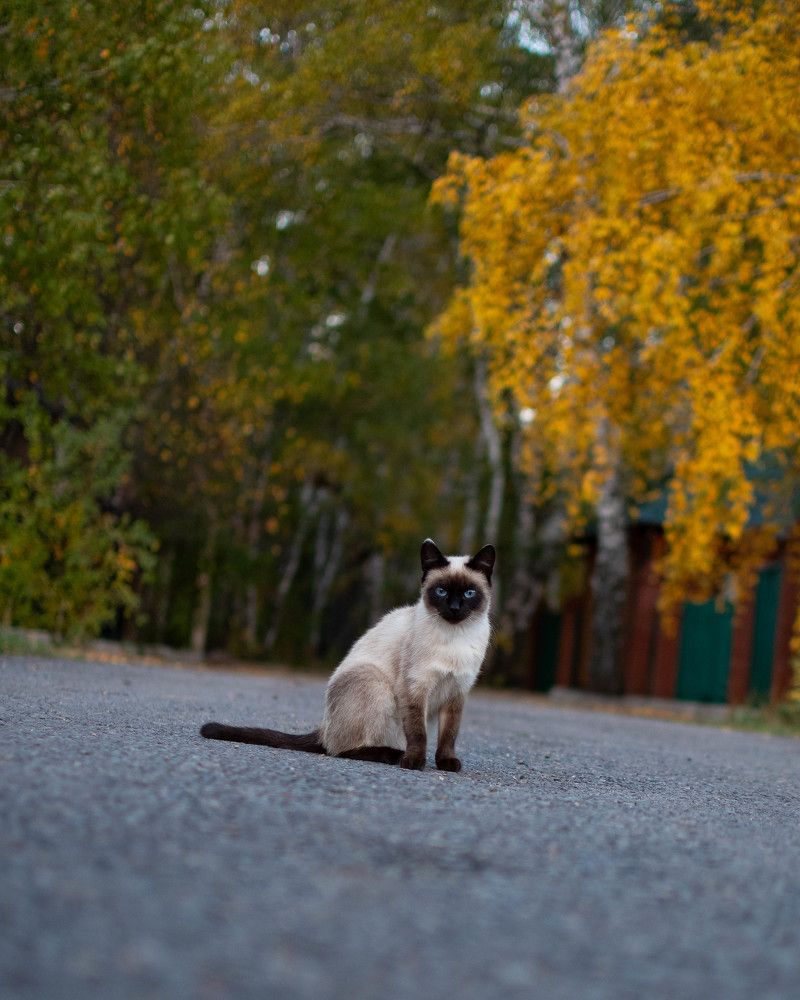 Photograph by Artem Menchshikov