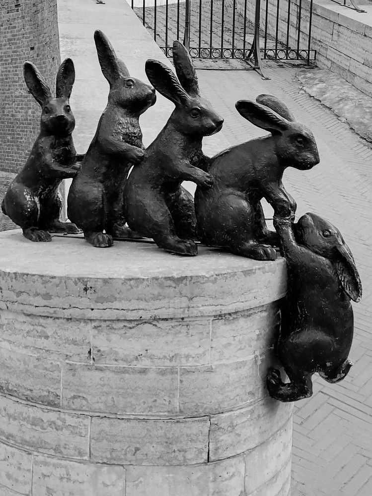 Photograph by Наталья Веряскина