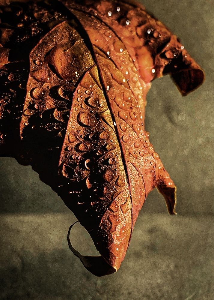 Photograph by Надежда Смирнова