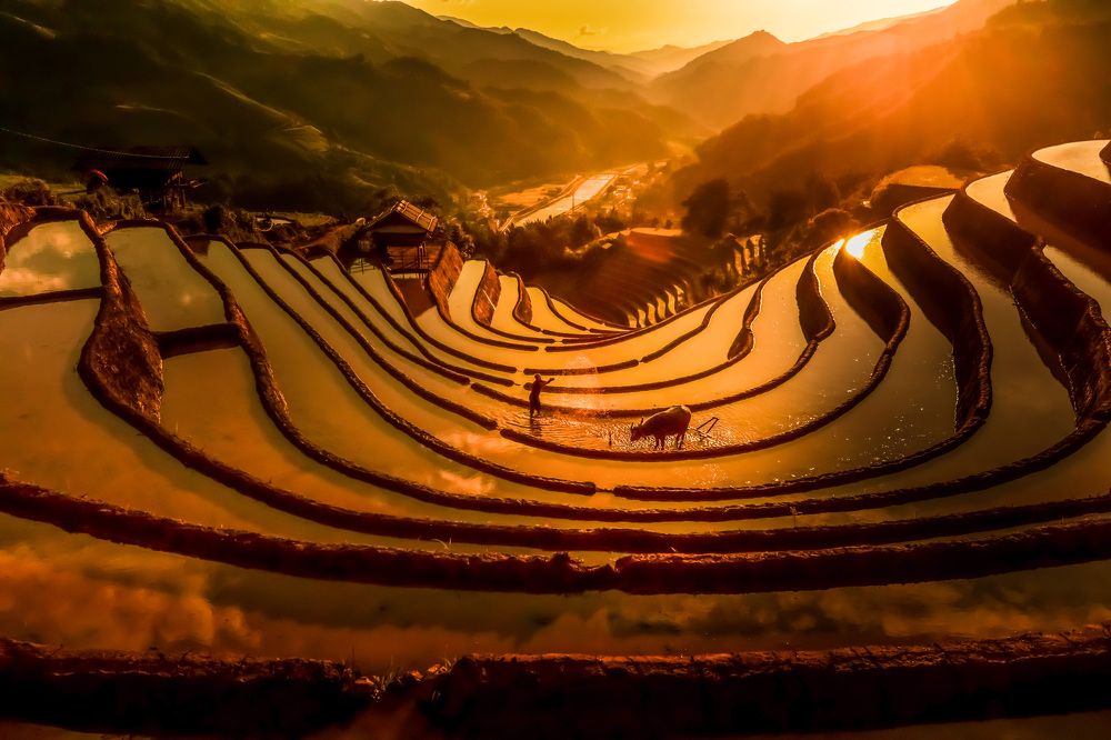 Photograph by Nguyen Thi Chieu Xuan