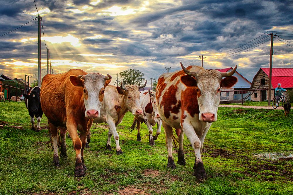 Photograph by Vitaliy Saposhnikov