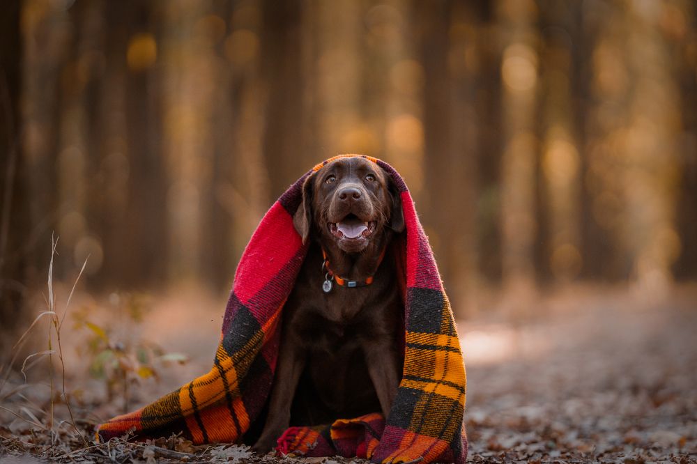 Photograph by sam fam