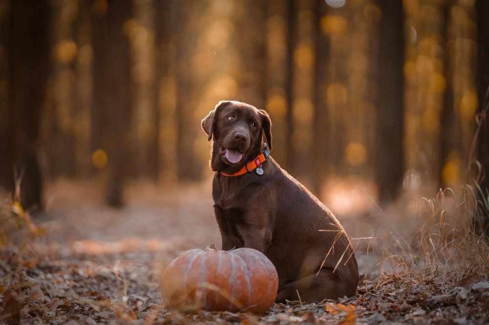 Photograph by sam fam