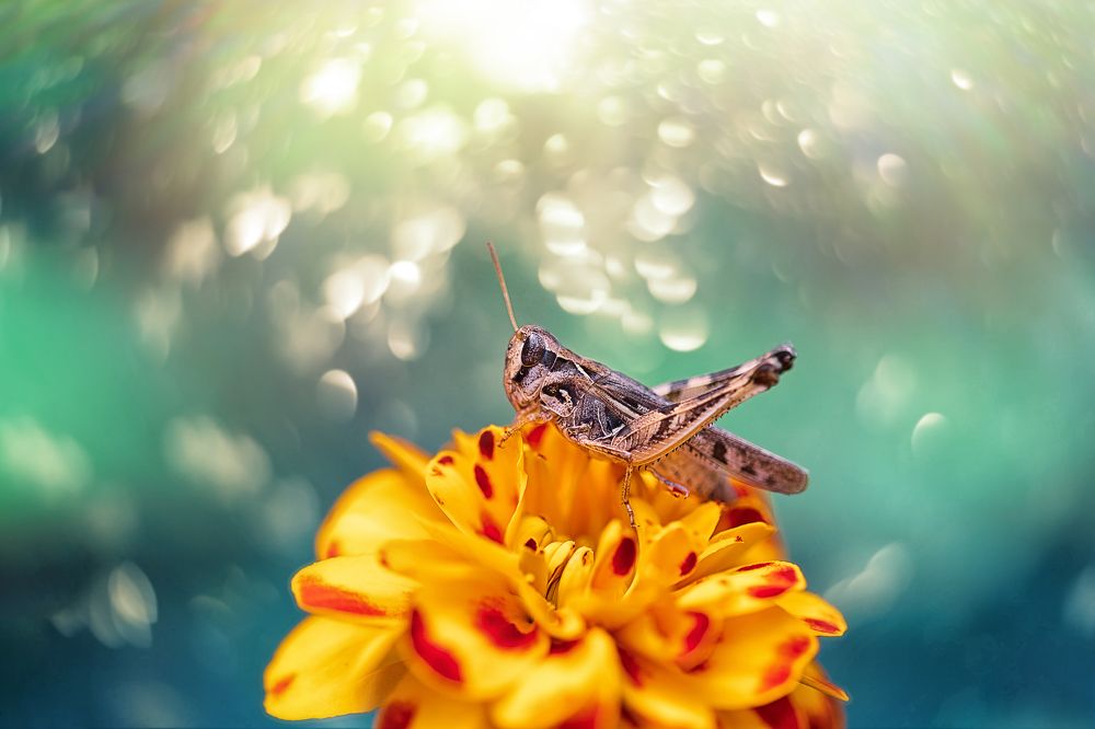 Photograph by Ажар Шайдилдинова