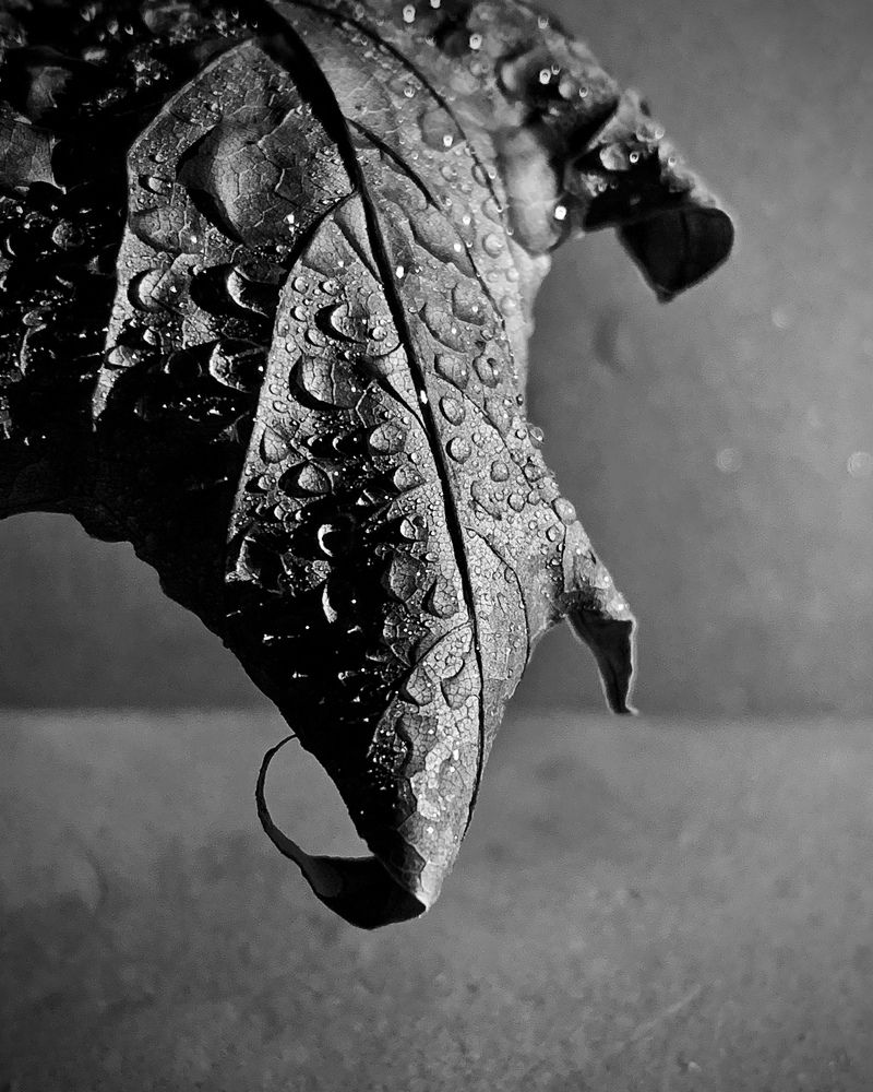 Photograph by Надежда Смирнова