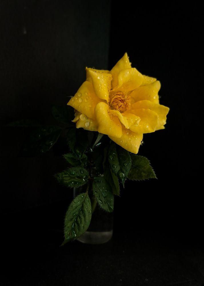 Photograph by Светлана Шелухеева